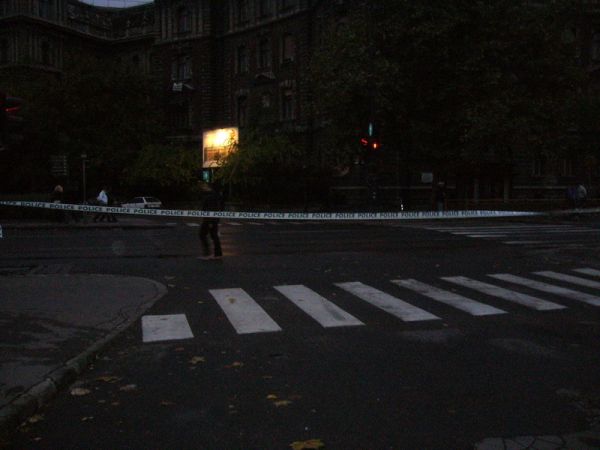 album/20081023/for88.jpg