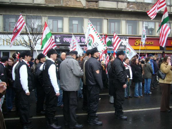 album/20090315/nub19.jpg