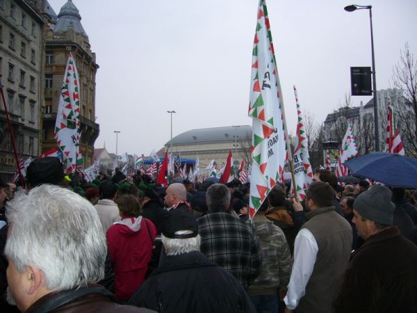 album/20090315/nub21.jpg
