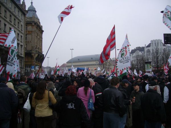 album/20090315/nub22.jpg
