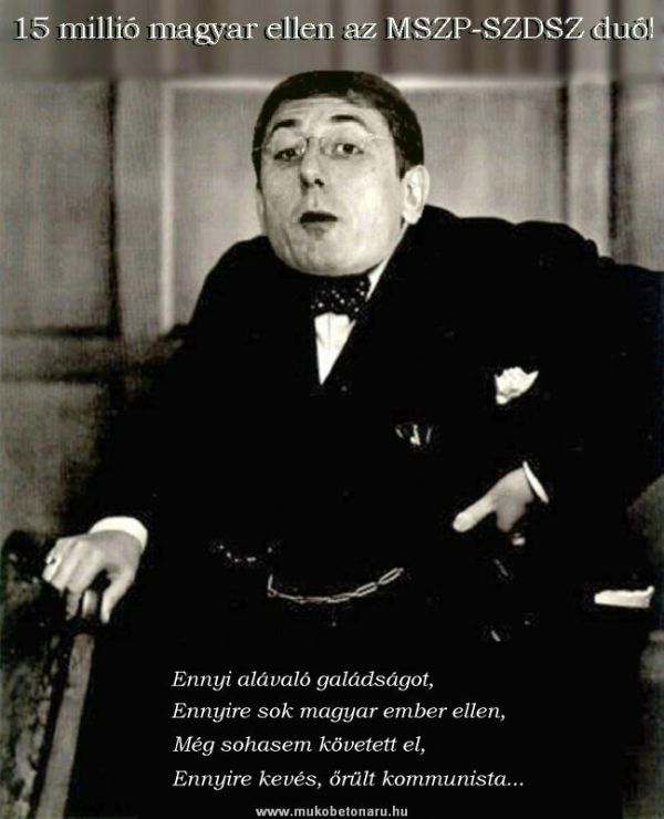 album/humor/p0035.jpg